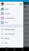 CKSalesInc screenshot 2