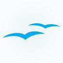 Mira Aviation APK