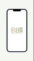 Color and Color poster
