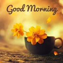 Inspirational & Motivational Good Morning Quotes APK