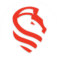 Knight Auto Care