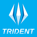 Trident Auto Care APK