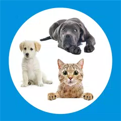 pet & dog - Buy and sell XAPK 下載