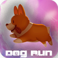 My Dog Run
