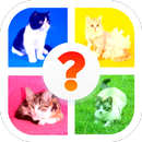 Cat Breed Quiz Game (Cat Game) APK