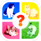 Cat Breed Quiz आइकन