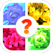 Flower Quiz Game (Flower Name Word Game)