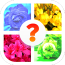 Flower Quiz Game (Flower Name Word Game) APK