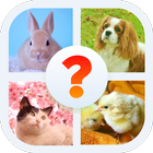 Animal Name: Male, Female, & Young (Animal Game) icon