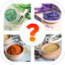 Herbs and Spices Quiz (Food Quiz Game) aplikacja
