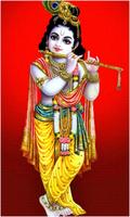 God Shri Krishna Wallpapers captura de pantalla 1