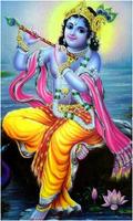 Lord Shri Krishna Wallpapers capture d'écran 2