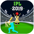 Play Cricket 2019