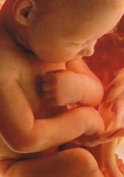 Pregnancy Week by week 截图 3