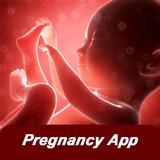 My Pregnancy App Offline