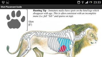 FREE African Hunter Shot Place پوسٹر