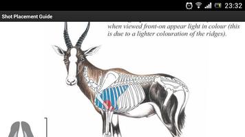 2 Schermata FREE African Hunter Shot Placement Guide