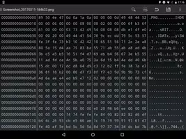 HEX Editor screenshot 6