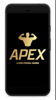 Apex In Home Training plakat