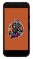 Black Dragon Fitness poster