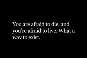 QUOTES OF THE DAY screenshot 3
