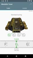 Mandolin Tuner ảnh chụp màn hình 3