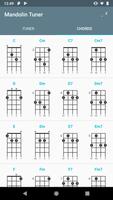 Mandolin Tuner Plakat