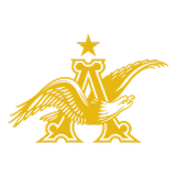 Busch Ag आइकन