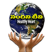 Nandini TV