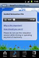 Panic Attacks? 截图 2