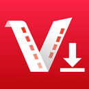Video Downloader: Save Stories APK