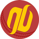 GullyBall-Live Cricket Scorer APK