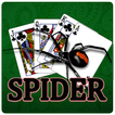 Classic Spider Solitaire Game