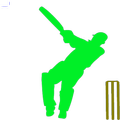 Cricket Schedule 2019