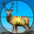 Animal Safari Hunting
