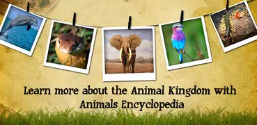 Animal Encyclopedia Offline