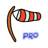 Crosswind Calculator Pro