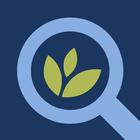 Family Tree Maker Connect ícone