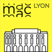 MAC Lyon, œuvres de la collect