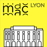 MAC Lyon, œuvres de la collect ikona
