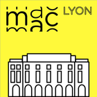 MAC Lyon, œuvres de la collect icon