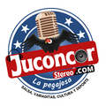 Juconcor Stereo
