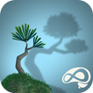 Zen Garden 2