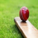 Cricket Live aplikacja