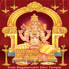 Maa Baglamukhi Chalisa & Stuti أيقونة