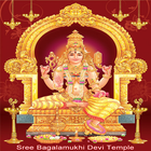 Maa Baglamukhi Chalisa & Stuti иконка