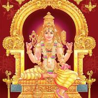 Maa Baglamukhi Chalisa & Stuti تصوير الشاشة 3