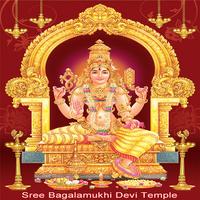 Maa Baglamukhi Chalisa & Stuti الملصق