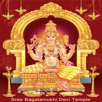 Maa Baglamukhi Chalisa & Stuti 海報