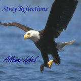 Iqbal's Reflections 아이콘